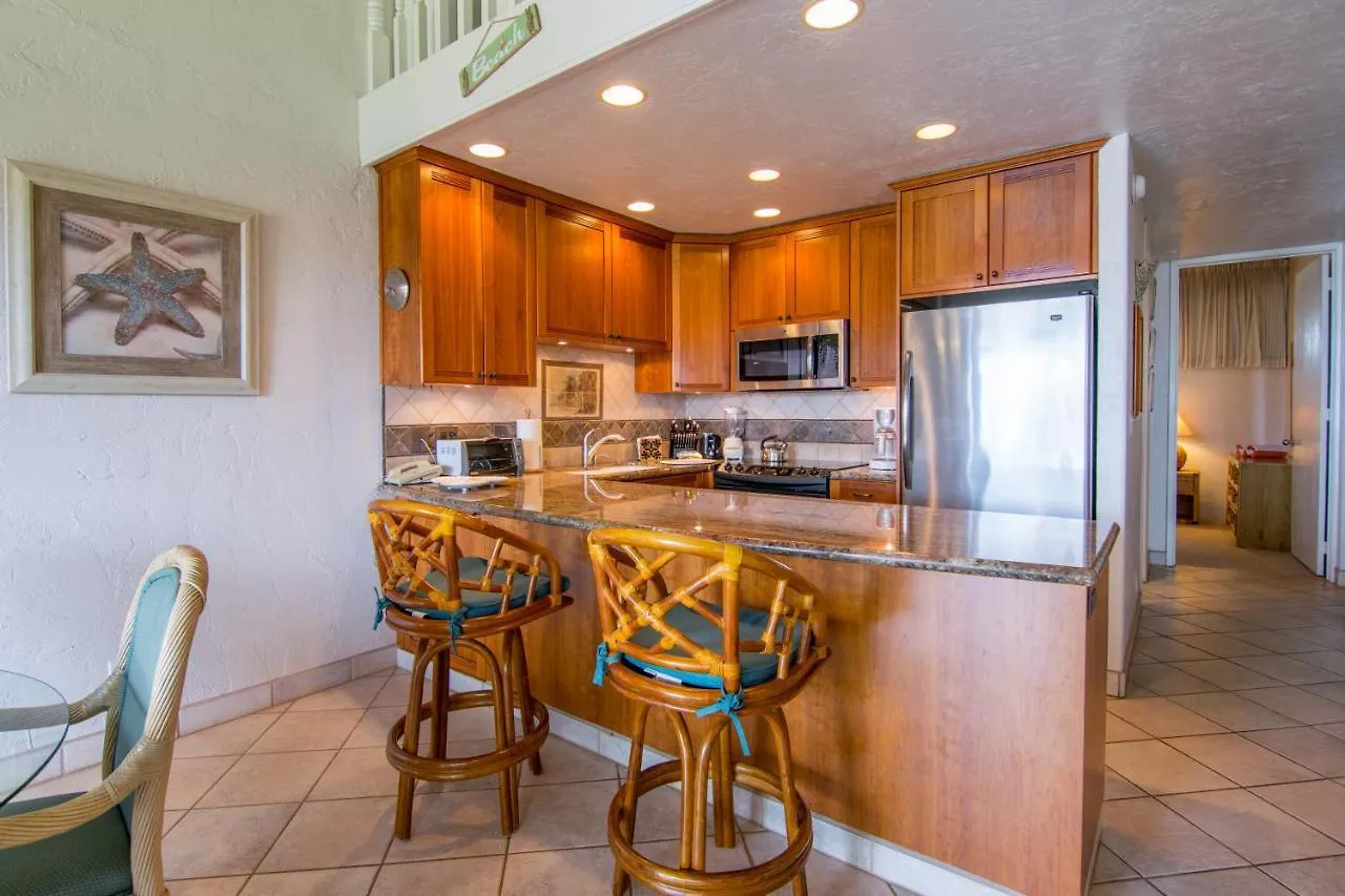 Papakea B403 Villa Kahana United States