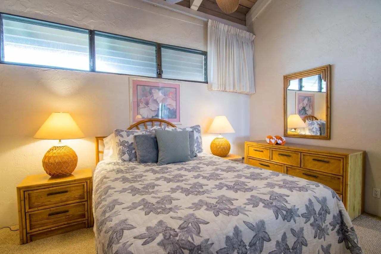 Holiday home Papakea B403 Villa Kahana United States